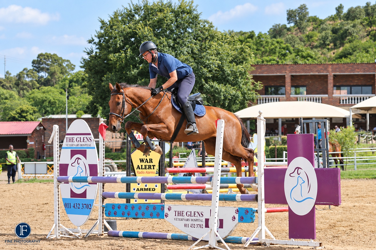 Bryce Wills showjumping now