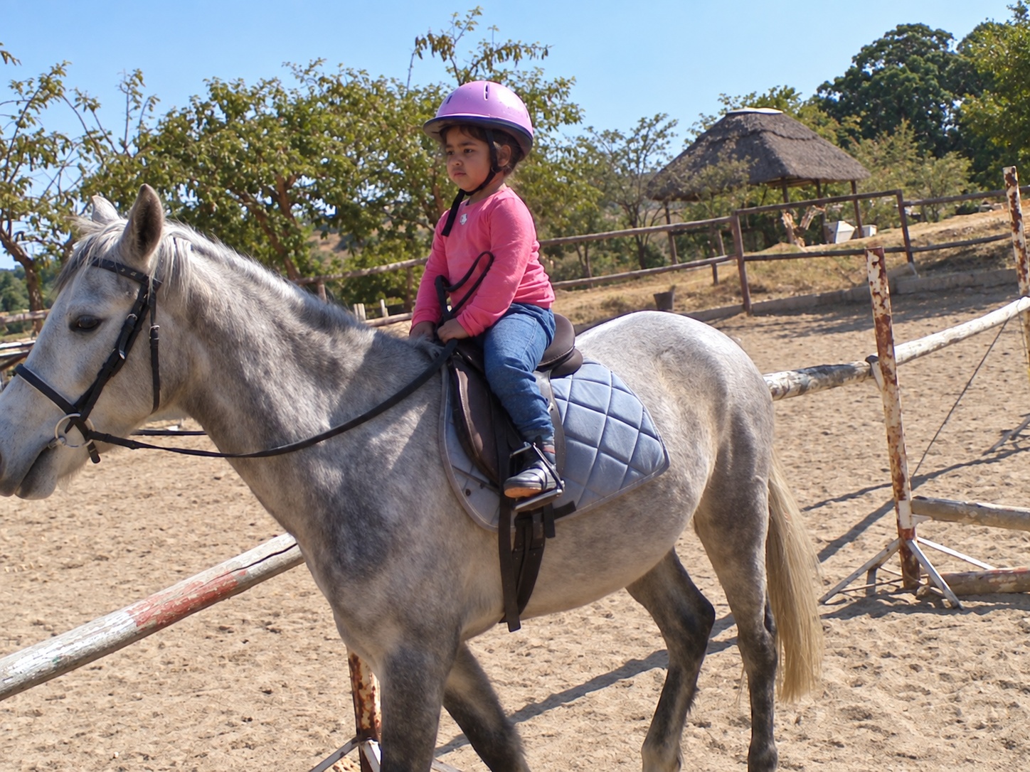 Child riding a grey pony in an arena
