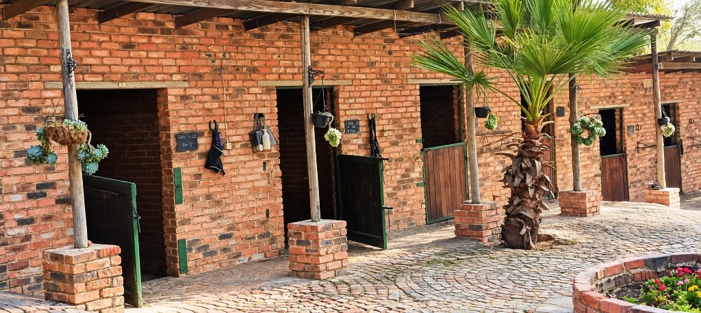 Bluemoon stables at Fourways