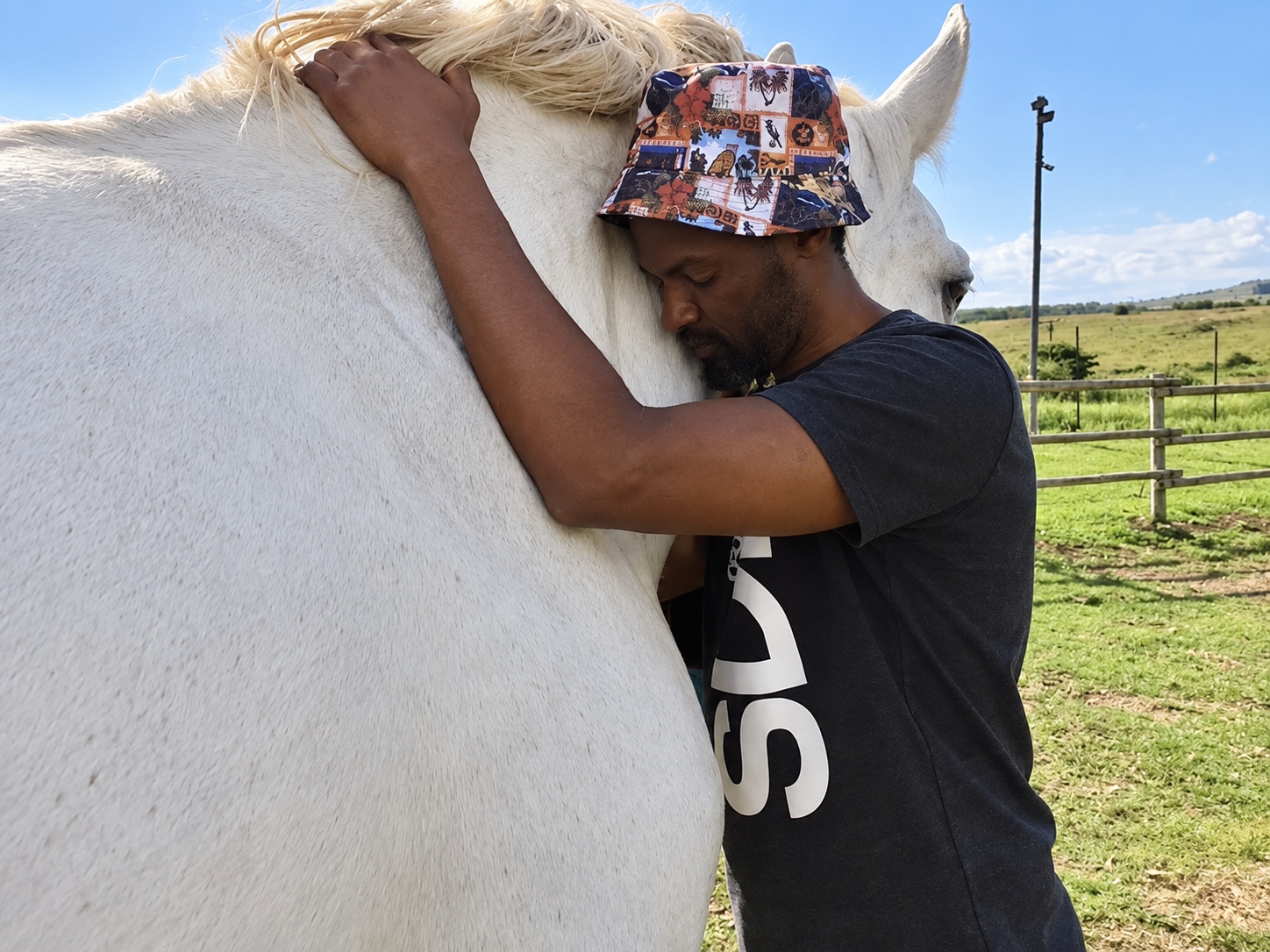 Person with a grey horse in a paddock