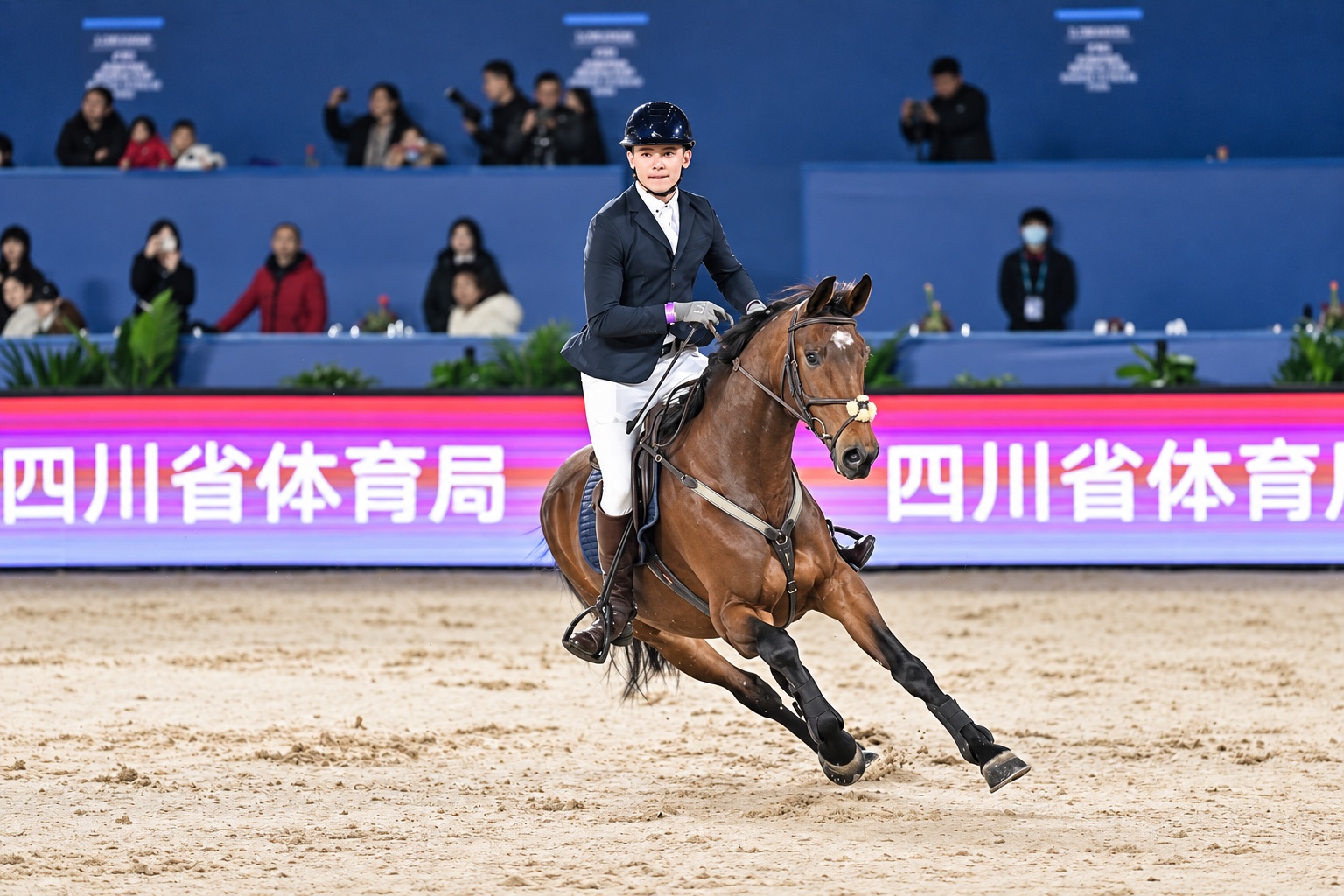 Indoor canter at an FEI jumping venue