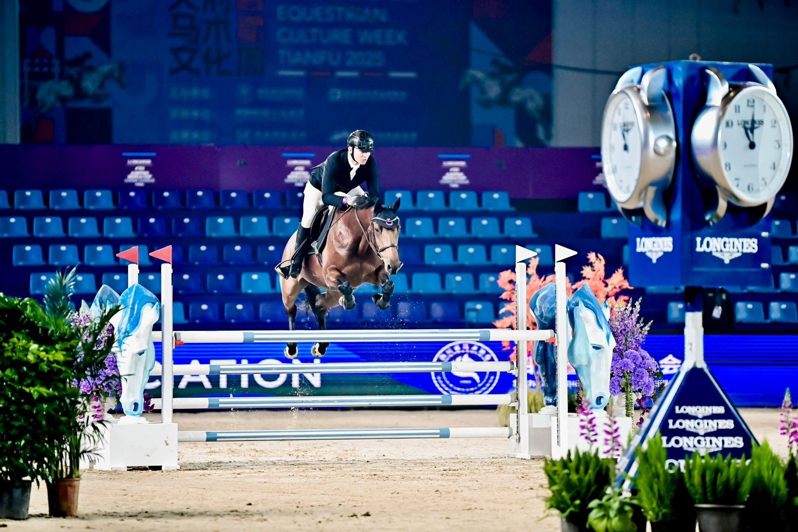 Indoor showjumping at Equestrian Culture Week