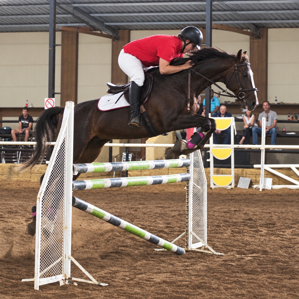 Indoor showjumping