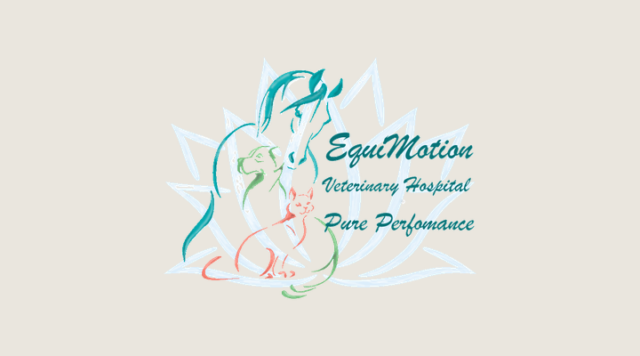 EquiMotion Veterinary Hospital