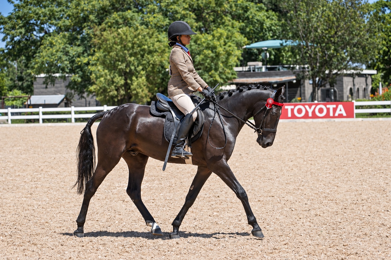 Rider on a dark horse in a competition arena
