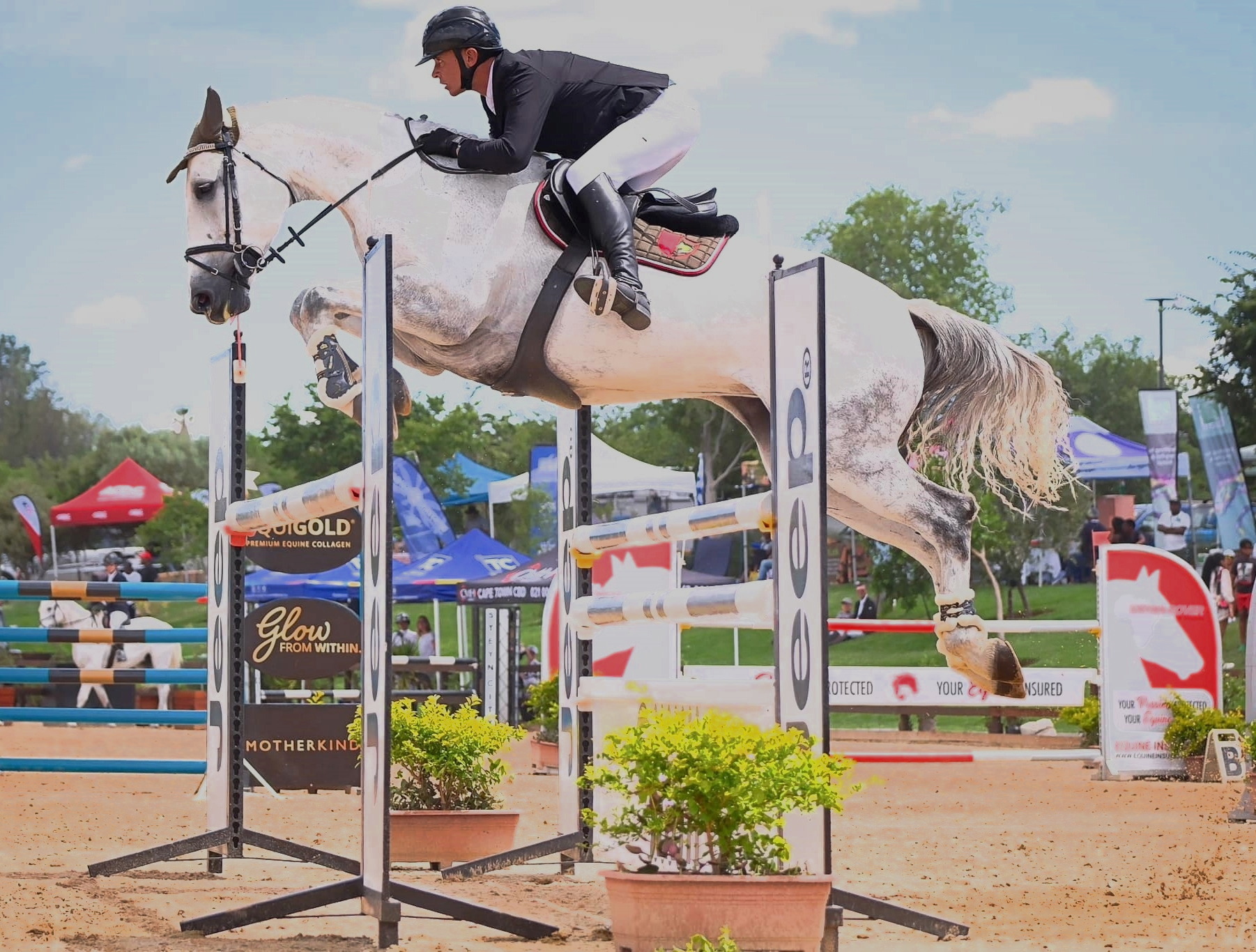 Rider jumping a grey sport horse