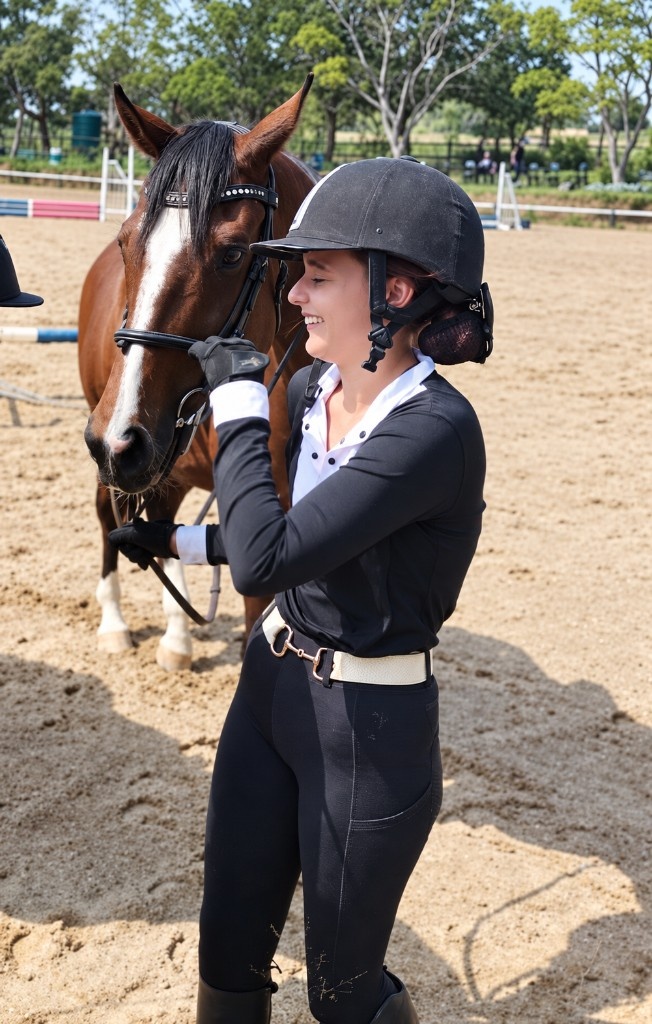 Rider with a bay horse in the arena