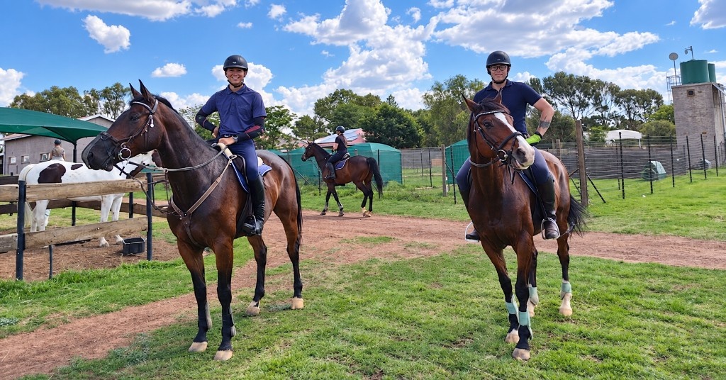 Riders on bay horses at the yard
