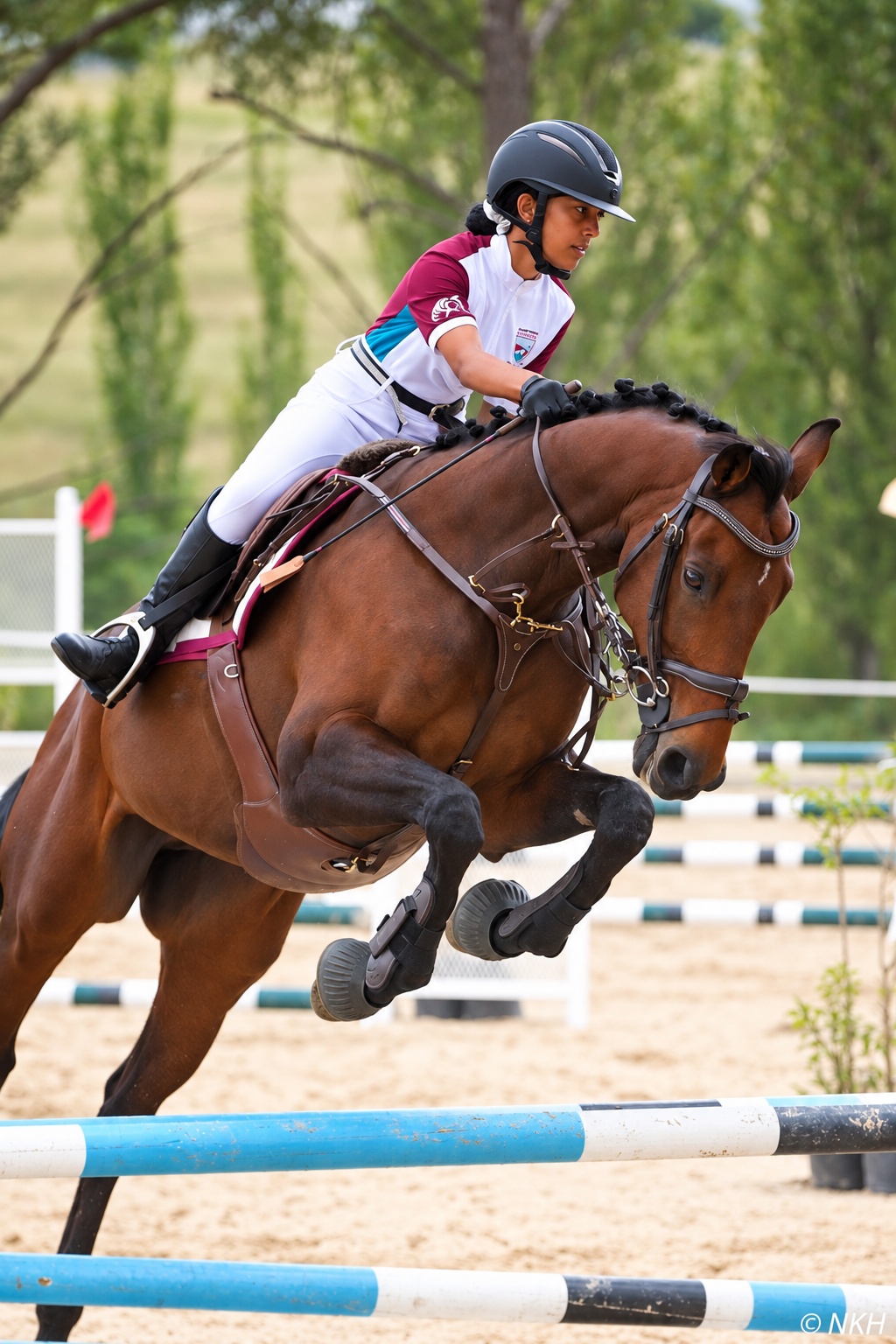 Rider jumping a bay horse
