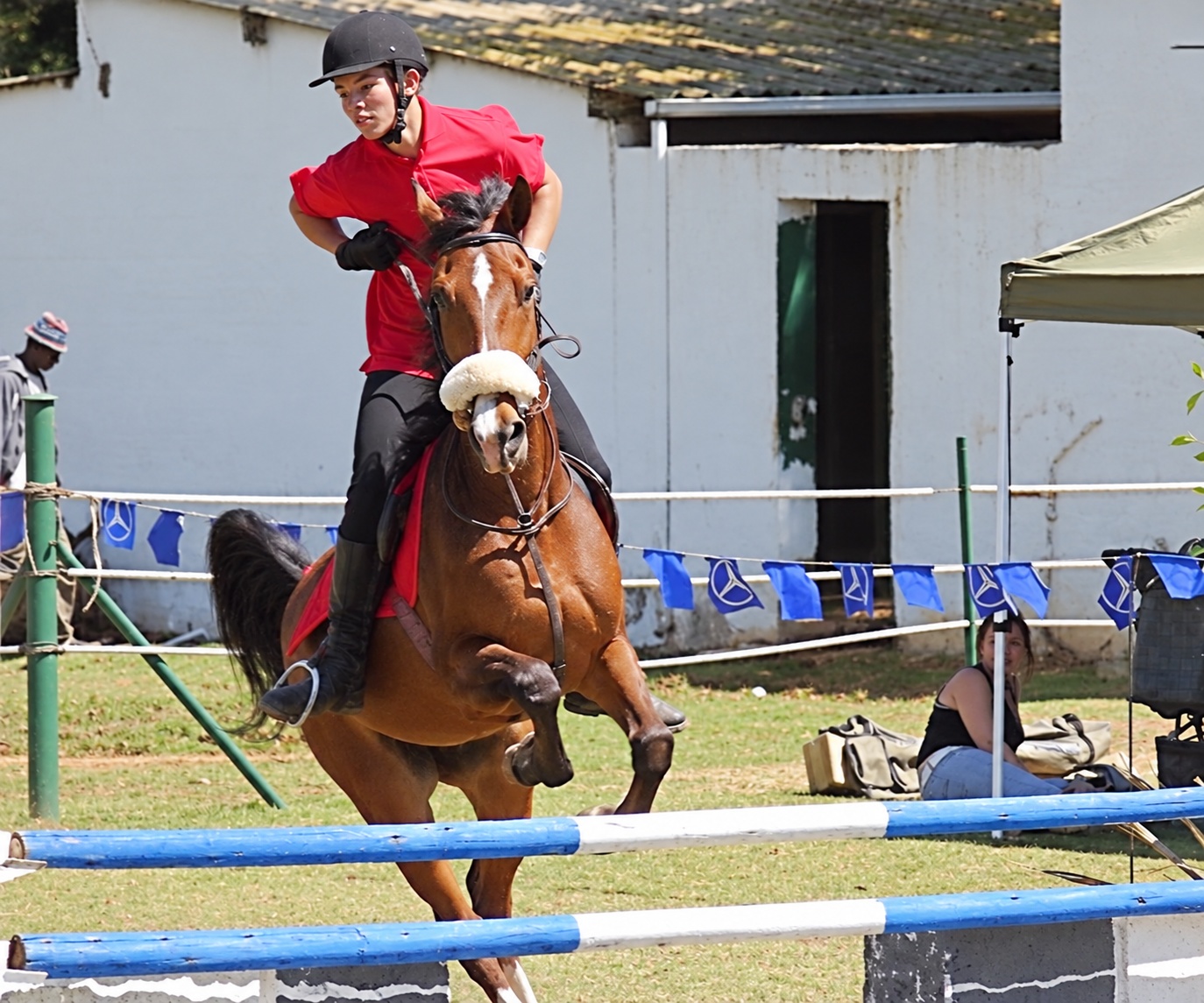 Rider jumping a bay horse
