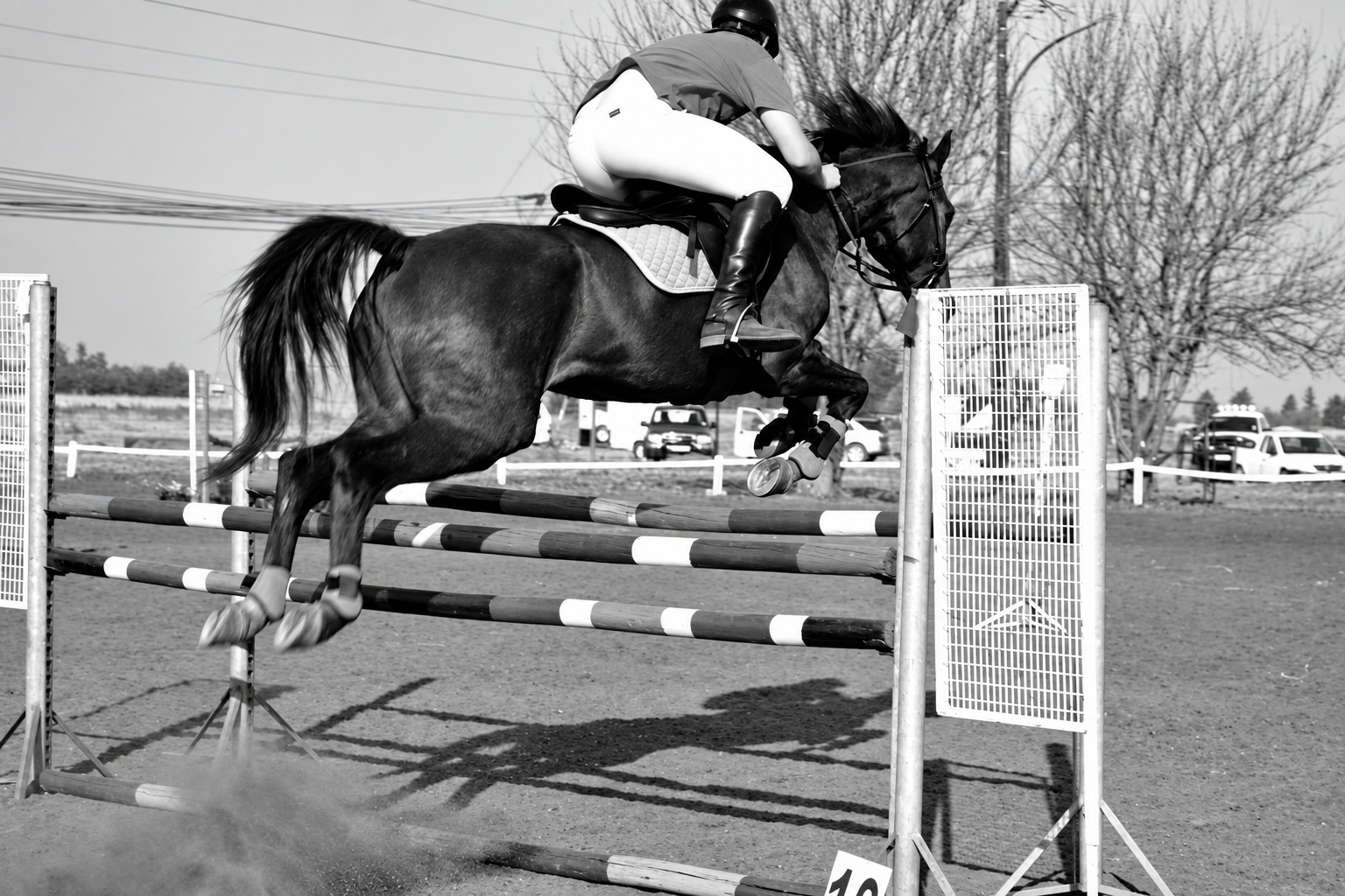 Showjumping photographed in black and white