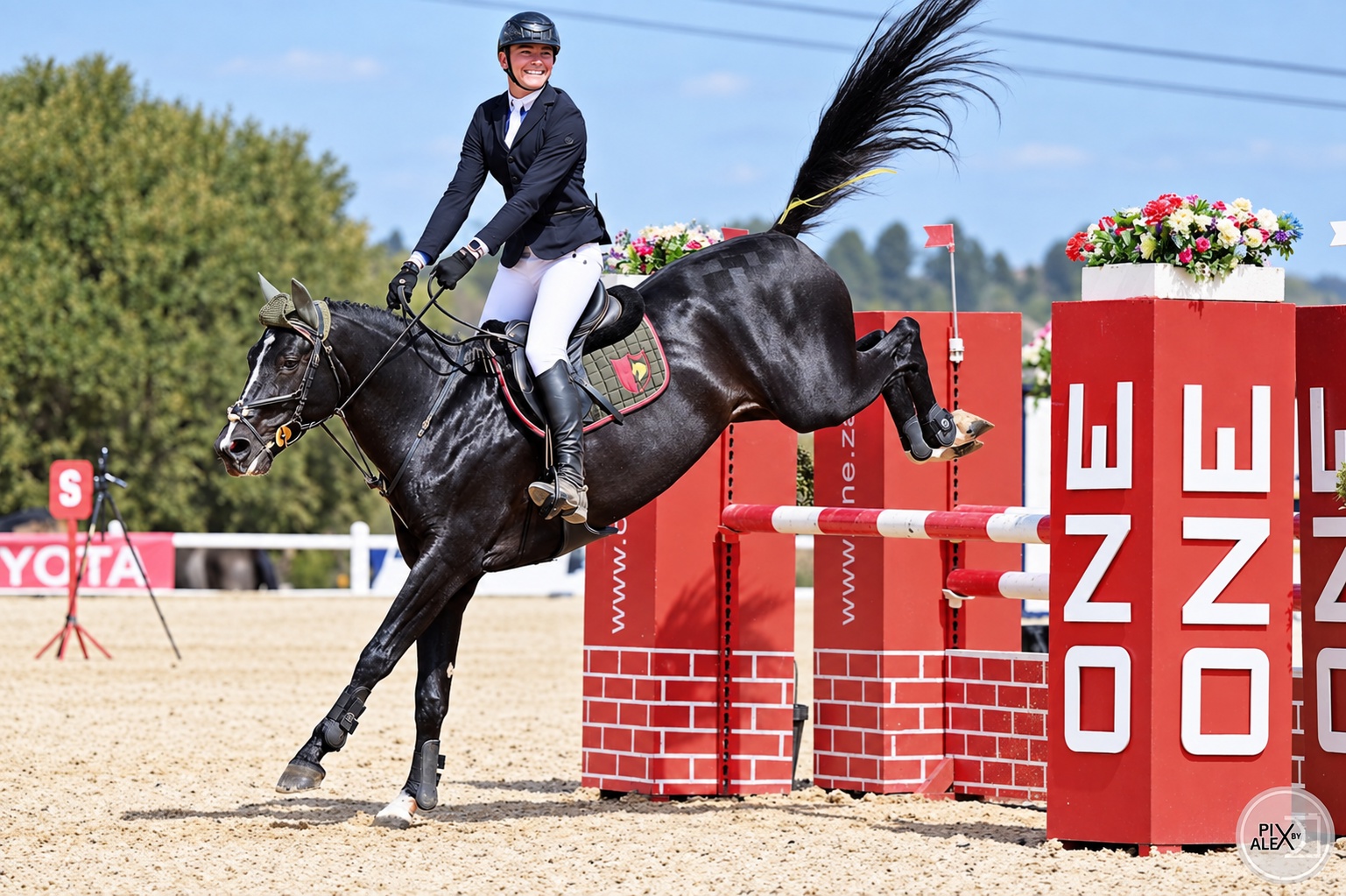 Bluemoon rider in showjumping competition
