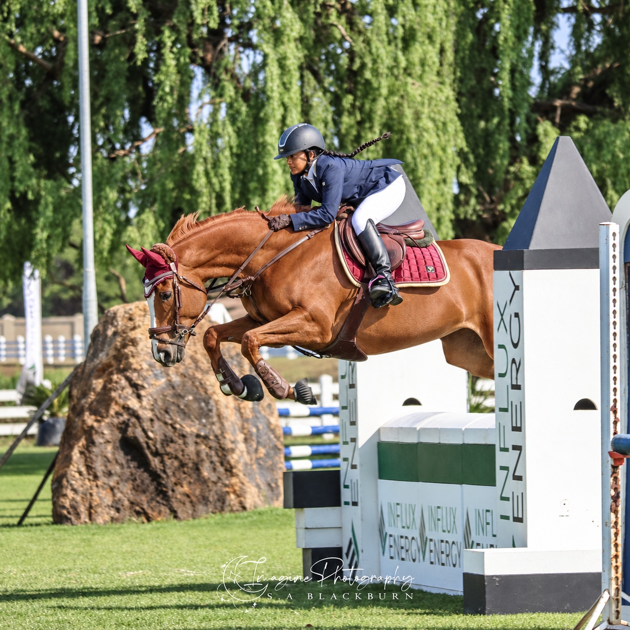 Showjumping on a chestnut horse