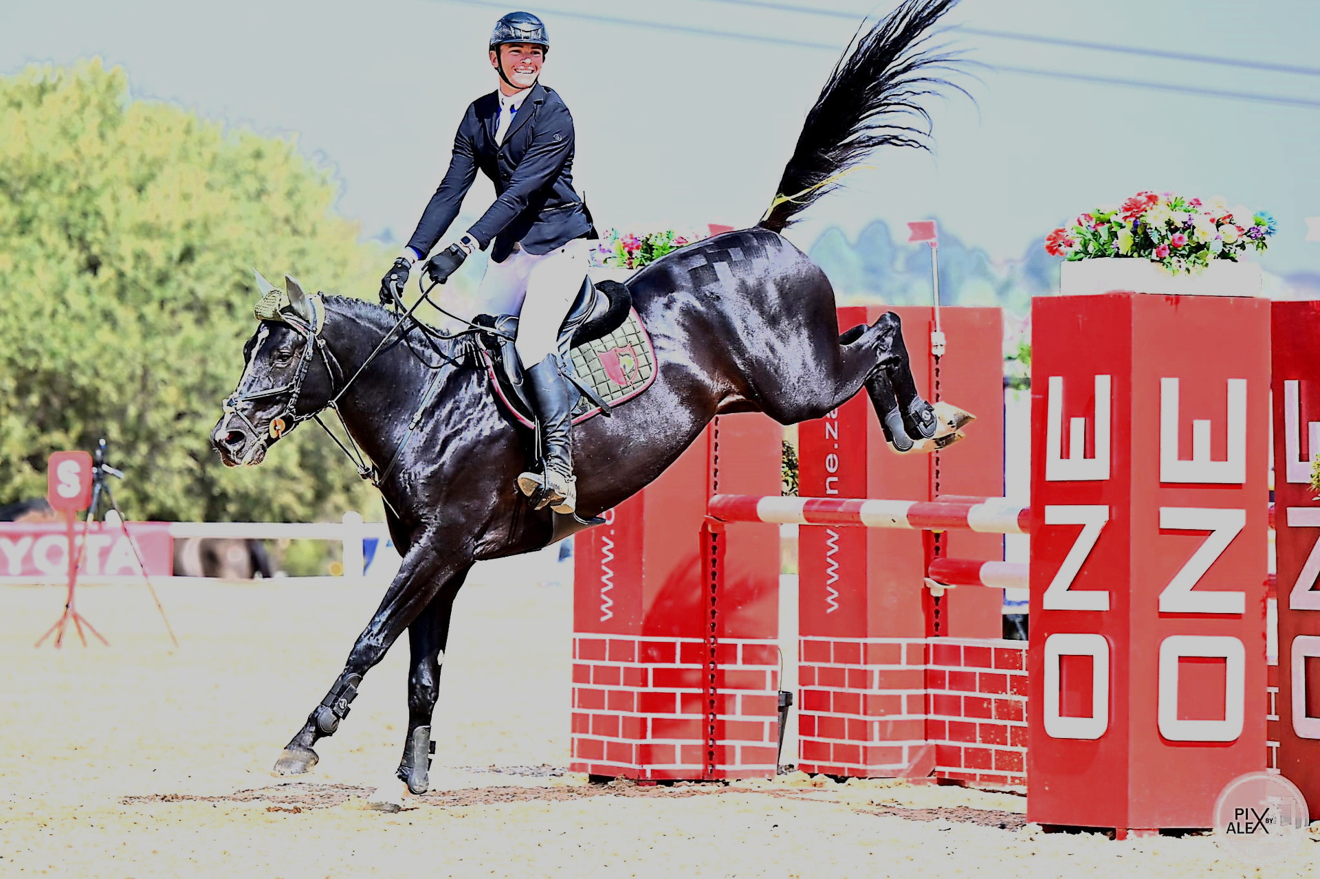 Showjumping competition