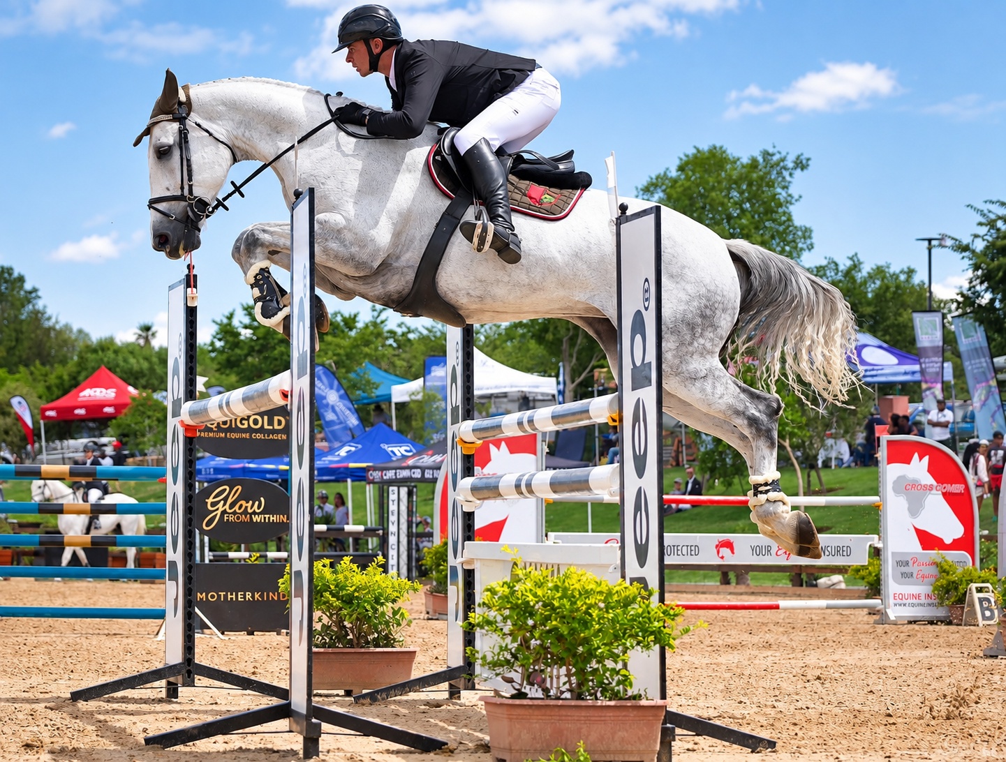 Schooling at Bluemoon Equestrian