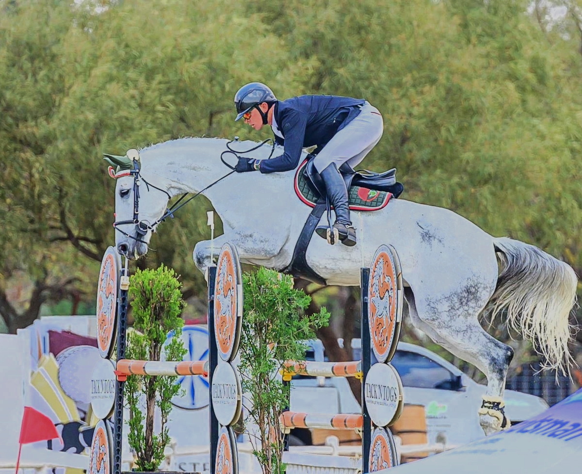 Showjumping on a grey horse