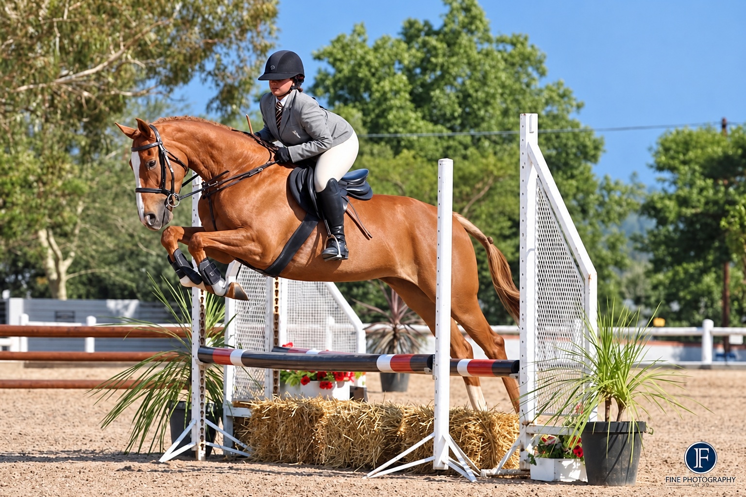 Showjumping over a rustic fence