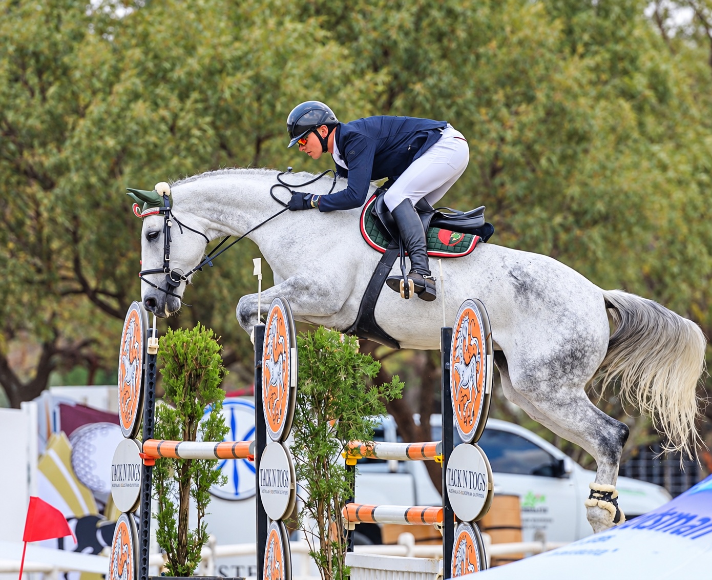 Showjumping over a Tack n Togs fence