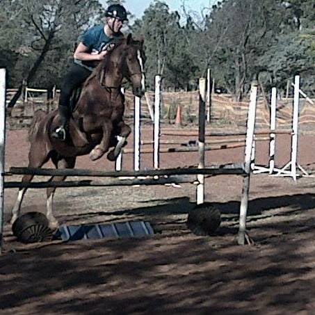 Bryce Wills as a junior rider