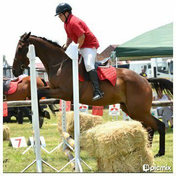 Bryce Wills as a junior rider