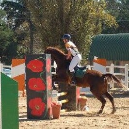 Bryce Wills as a junior rider